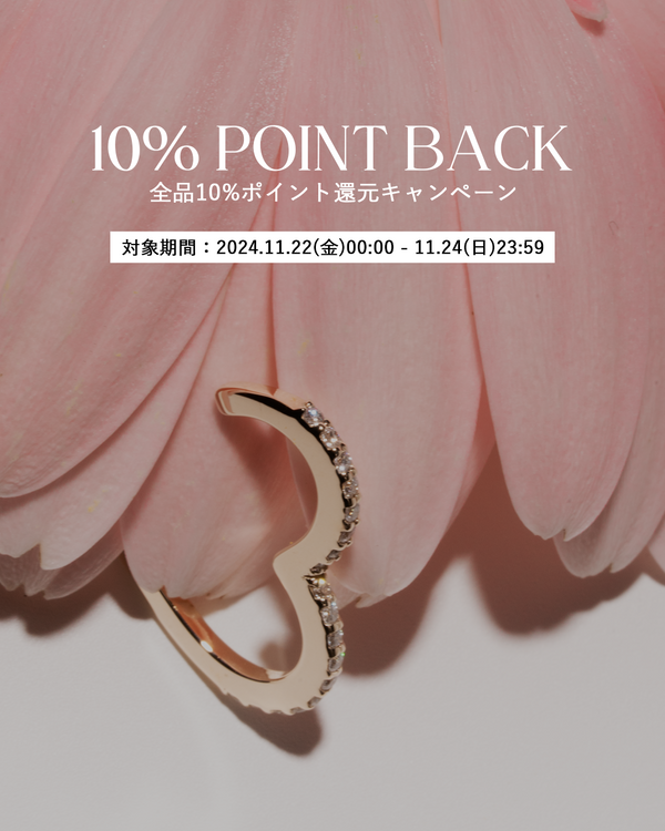 10% Point Back Campaign in November