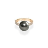 Grand Black Pearl Oval Dome Ring - PRMAL