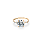 Velle Solitaire Pave Ring - PRMAL