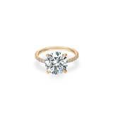 Velle Solitaire Pave Ring - PRMAL