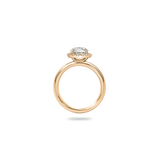 Faria Halo Bold Plain Ring - PRMAL